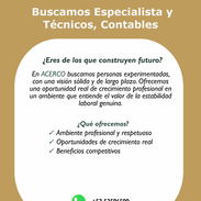 Se contratan Especialistas, Técnico, Contables - Img 56305620
