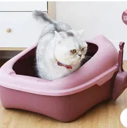 Areneros Para Gatos 🐱  DOG&CAT 💯 - Img 48582724