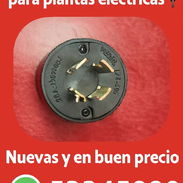VENTA DE ESPIGAS DE PLANTA ELÉCTRICA - Img 51588439
