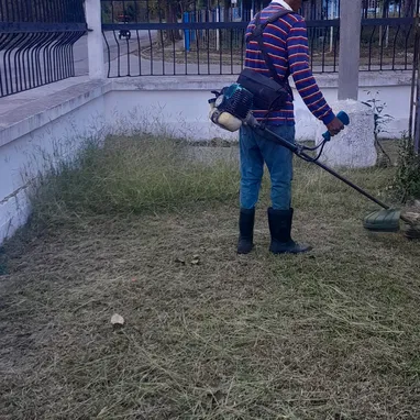 jardinería y Servicio de limpieza de exteriores - Img 121134720