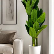 Planta con maceta - Img 55394549