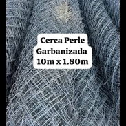 Cerca perlet - Img 54963686