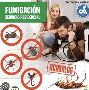 Fumigación contra insectos - Img 45790808