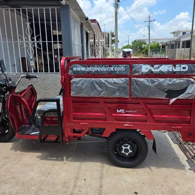 🛺 TRICICLO ELÉCTRICO MZ PRODUCTIONS 🛺 Vic $4650 - Img 127169430
