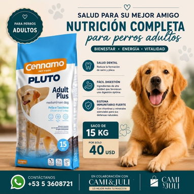 PIENSOS PARA PERROS DE LA MEJOR CALIDAD MENSAJERÍA GRATIS DEPENDIENDO EL LUGAR - Img 122369469