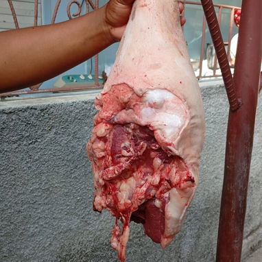 Combos de alimentos en bayamo y otros municipios - 3/9
