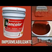 Impermeable rojo 54703213 - Img 56090417