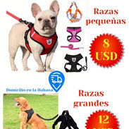 Arnés para mascotas - Img 58330138