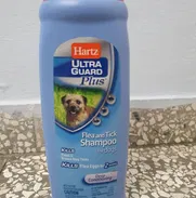 Shampoo para perros - Img 47930198
