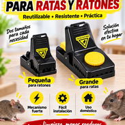 Encuentra Ratoneras - Img 57520602