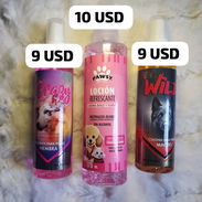 Colonias y perfumes para perros y gatos - Img 54489229
