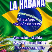 TRATO PRESENCIAL EN LA HABANA - Img 56416988