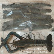 Camarones enteros con pinzas paquetes de 1kg 4000cup - Img 57723725
