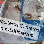 Mosquiteros Cameros. - Img 56859963
