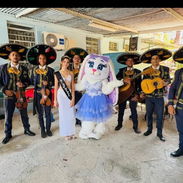 Mariachi Guadalajara de cuba - Img 56124248