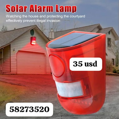 Alarma con sensor de movimiento, cargan con el sol - 2/2