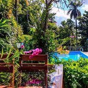 🏡✨¡Alquiler de Casa de lujo‼️   En #LaHabana perfecto para unas vacaciones de calidad y disfrute en familia. ⭐️⭐️⭐️⭐️⭐️ - Img 45078779