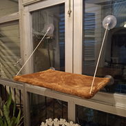 Cama para gato con ventosa - Img 55741486