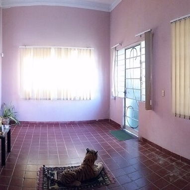 (al170)-150000-Biplanta en El Vedado-Plaza.(53o22922)(www.ventacasasmandy.com). - Img 122543816