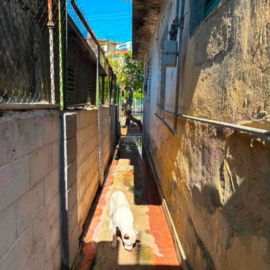 🏡 Casa semi-independiente ubicada en la calle 60 cerca a 31 (interna) - 8/10