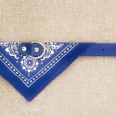 Collares para las mascotas de casa! - Img 120488319