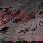 Venta de componentes para Arduinos - Img 50069640