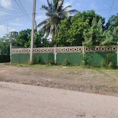 Casa con terreno inmenso y con siembra - Img 127221140