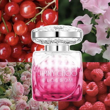 Perfume JIMMY CHOO . Y DUPES ÁRABES , catálogo con más de 100 fragancias . Perfumería CLAAR - Img 108279561