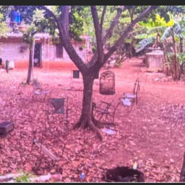 Venta de finca en cojimar 4800 m² - 2/10