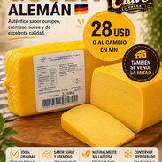 Queso gouda alemán - Img 55175818