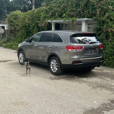 Kia sorento 2018 - 2/2