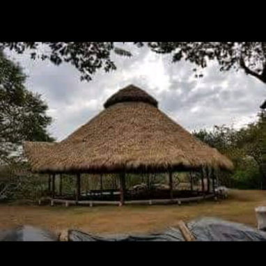 Ranchones de yuraguano y madera - Img 126564091