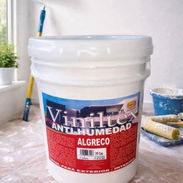 Pinturas del hogar - Img 55278452