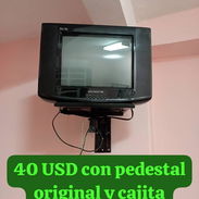 TV 14" - Img 56536560