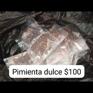 Pimienta dulce - Img 55930809