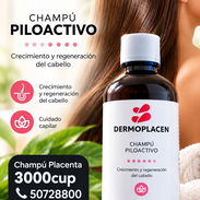 CHAMPU PILOACTIVO PLACENTA - Img 58011112