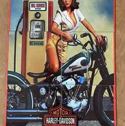 SE VENDE AZULEJOS VINTAGE DE HARLEY DAVIDSON. UNA HERMOSA PIEZA. PRECIO: 60 USD  LLAMAR AL 55588362, LA HABANA - Img 50446318