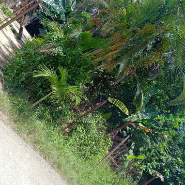 Casa de alto y bajo con patio - 2/10