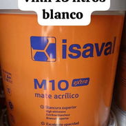 Pintura vinil euroquimica y isaval 15 litros blanco coco importadas de España - Img 55476470