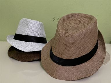 Sombreros panameños y otros - Img 66807862