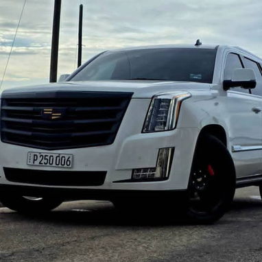 Cadillac Scalade Platinum 2020 - 2/9