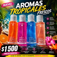 VEDADO 55435018 - Img 55767114