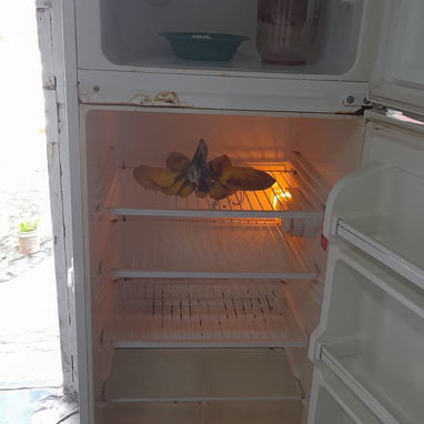 Haier doble temperatura 40mil - Img 123148821