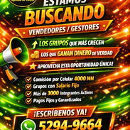 Busco gestore - Img 55528173