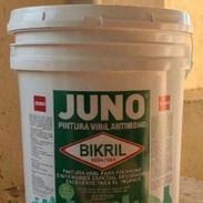 PINTURA VINIL PARA INTERIOR Y EXTERIOR. - Img 58012673