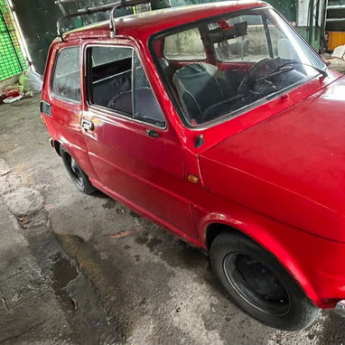 Vendo Polaco,papeles en Regla - 6/7
