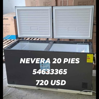 NEVERAS DE 20 PIES,TIPO CONGELADOR - Img 123565069
