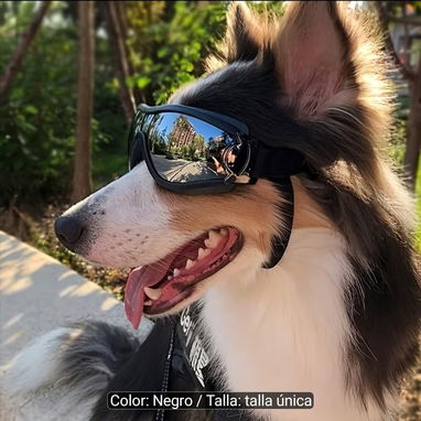 Gafas Negras Para Perros - 2/4