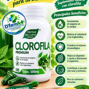 Clorafila - Img 58040093
