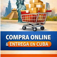 Servicio de Compra Online - Img 56150474